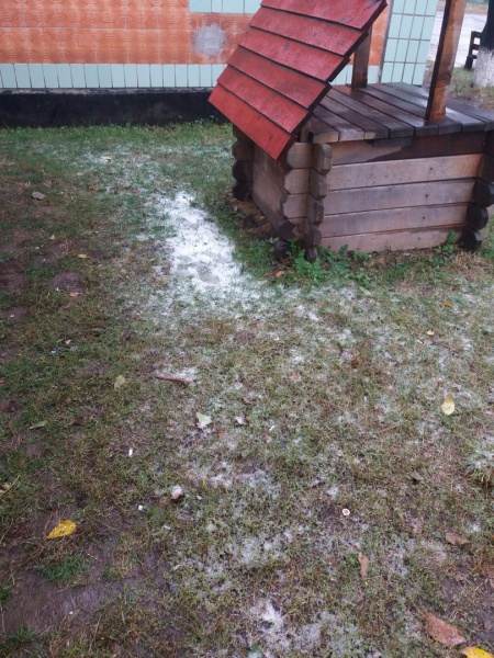 В Украине выпал первый снег: яркие фото и видео